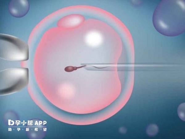 姐妹们见过男生的长度知乎 你见过男生的兄弟吗